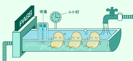 从黑土地到早餐桌：豆本豆有机豆奶“天然营养”养成记