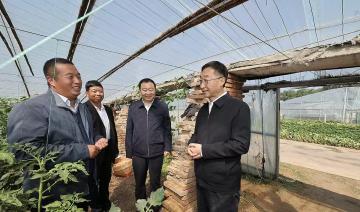 延津调研行：厚重历史底色下的现代农业新篇