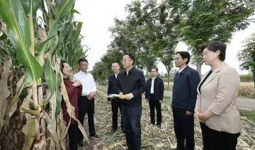 传承创新中夯实粮食安全 推动县域高质量发展
